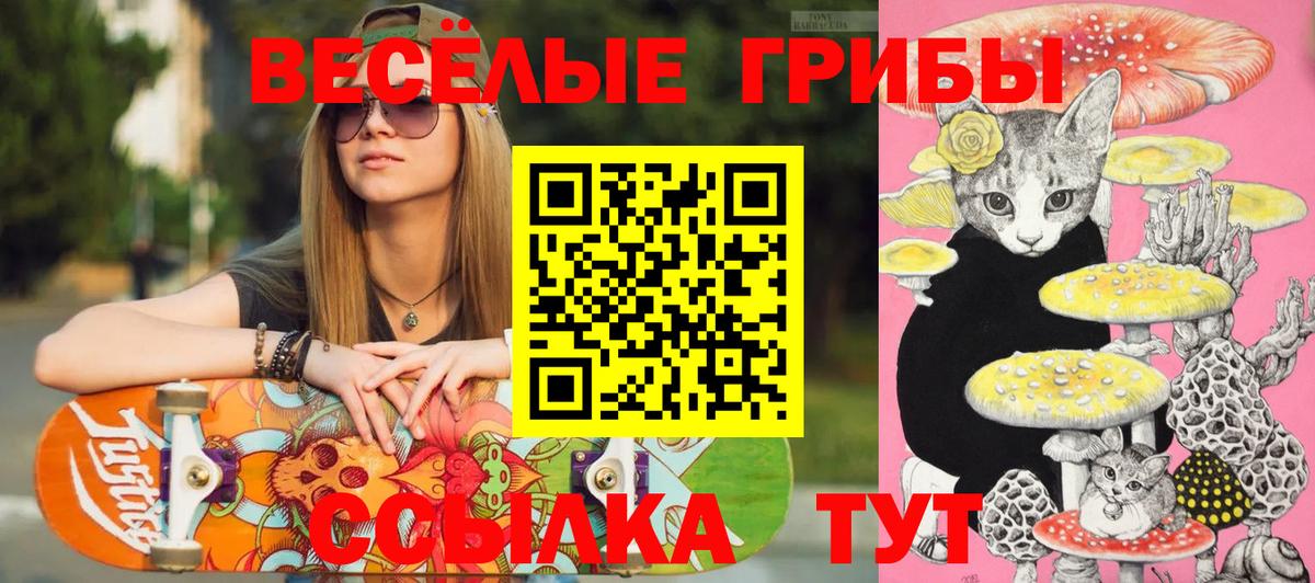 Галлюциногенные грибы Psilocybine cubensis  Вход с VPN  Псилоцибиновые грибы прущие грибы  Мурманск 