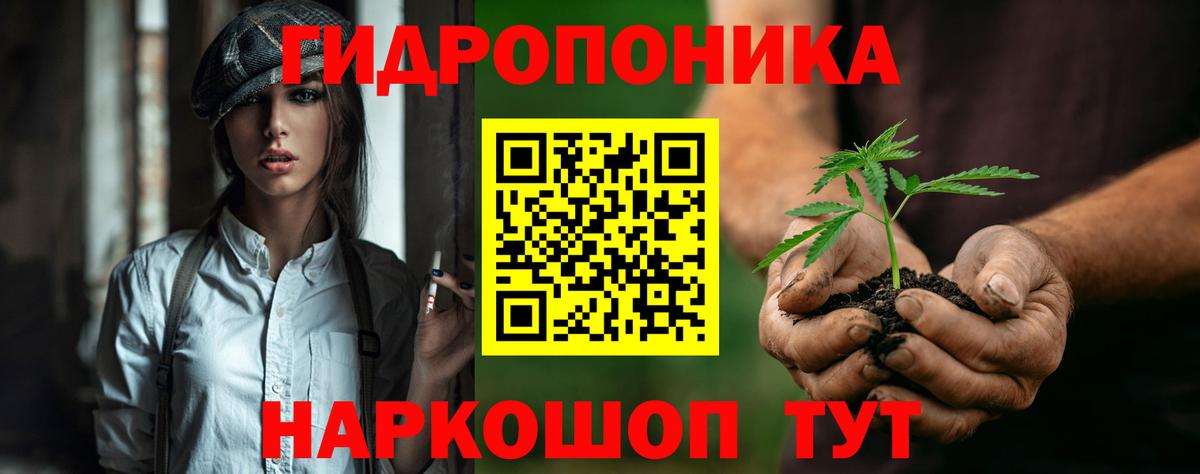 Марихуана сатива Мурманск